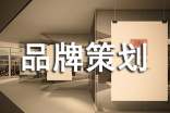 企业品牌策划方案(经典)