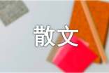 【精品】散文作文300字3篇