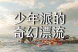 《少年派的奇幻漂流》观后感范文
