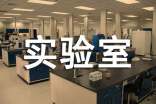 生物实验室工作总结范文