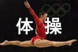 描写体操比赛的动作作文(精选38篇)