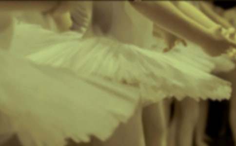 ����������15ƪ[����]