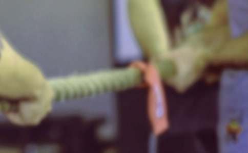 ����Ʒ���κ�Сѧ����4ƪ