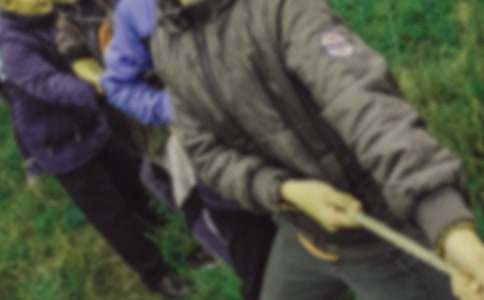 �������꼶�κӱ�������300����ƪ