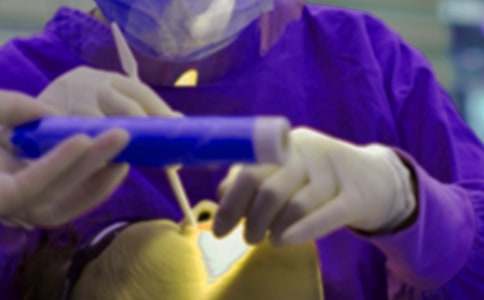 ��һ�ΰ������ľ�ѡ15ƪ