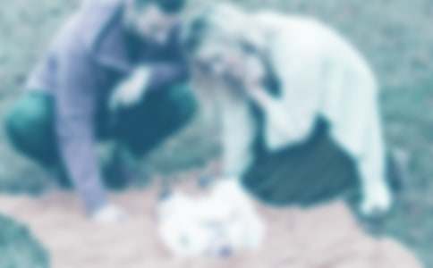 ���Ƽ����ְ�����İ��ռ�2ƪ