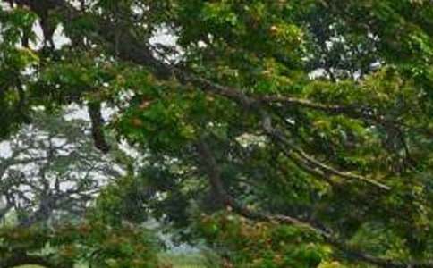 ���������ļ���[15ƪ]