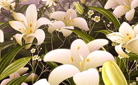 �ٺϻ�ֲ������