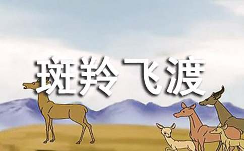 ������������ɶɡ������