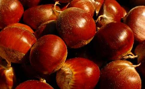 家乡的板栗作文600字