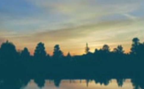 精选夏天的傍晚作文300字九篇