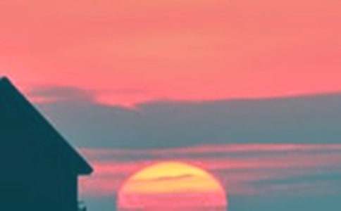 �����ţ���������ľ�ɫ����