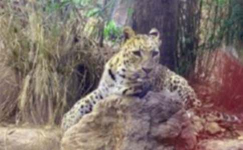 Ϊʲô����Ҫ��ɽ��˯ǰ����