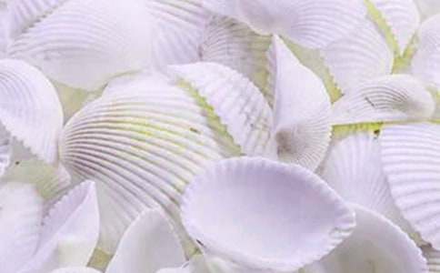 【推荐】贝壳作文300字8篇