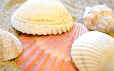 ����ѡ����������300��9ƪ