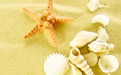 贝壳作文600字合集五篇