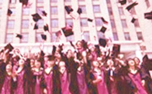 ��ѡ��ҵ����300����ƪ