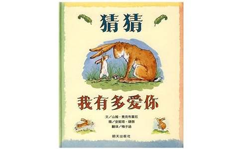大班语言活动教案《猜猜我有多爱你》