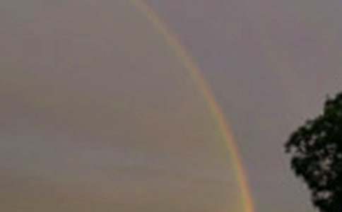 �ҷ����˲ʺ�����