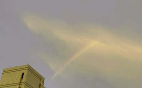 彩虹色的花读后感