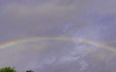 彩虹雨作文300字7篇