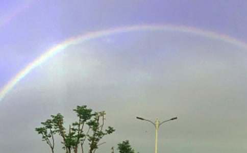 �ʺ������