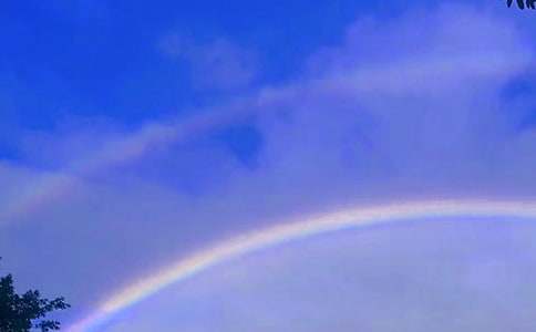 汤素兰《彩虹》读后感(通用10篇)