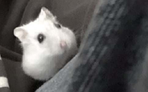 ���ȡ��ҵĶ������Ѳ�������