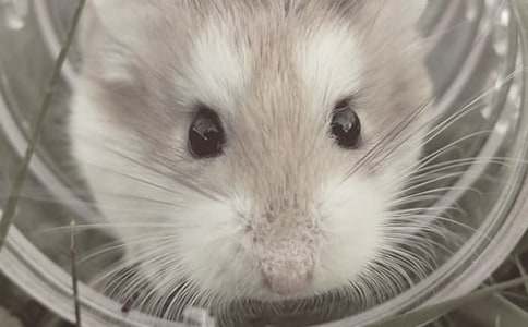 С�����������400��ʮƪ