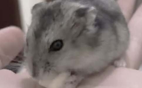 �ҵĶ������Ѳ�������[ʵ��15ƪ]