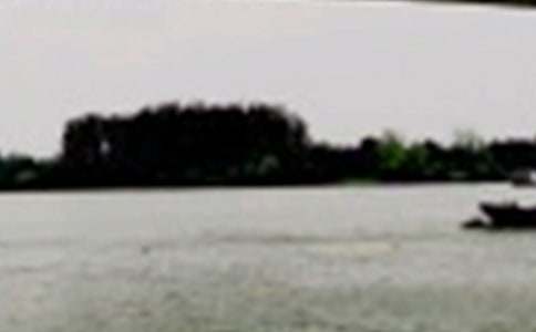 美丽的长江作文300字八篇