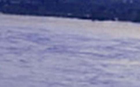 长江的作文(经典)