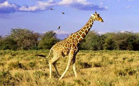 ����¹���������������˯ǰ����