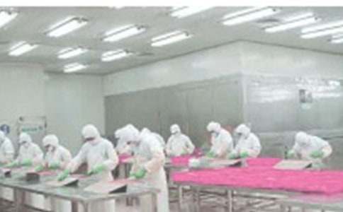 ����ʵϰ�����ܽ�(12ƪ)