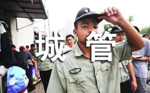 城管工作总结(集锦15篇)