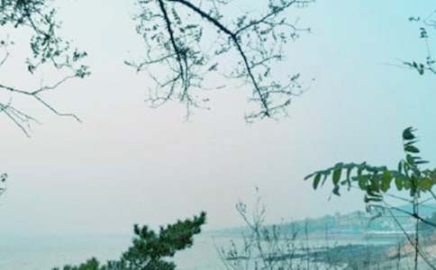 青春风景线作文