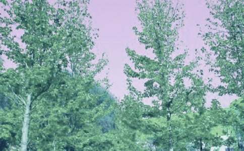 ���绯��ۺ��9ƪ