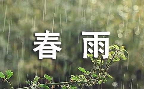 春雨五年级作文510字