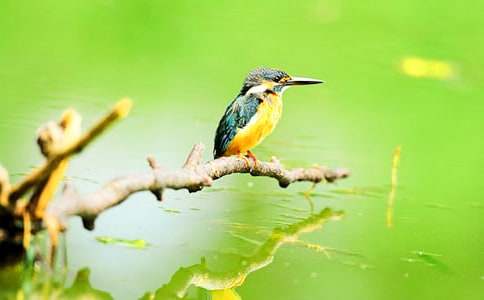 �������Ľ̰�