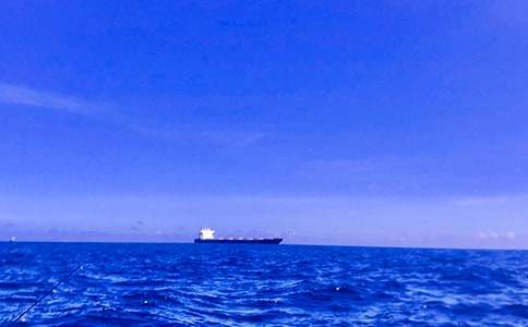 ������600��4ƪ[�ر�]