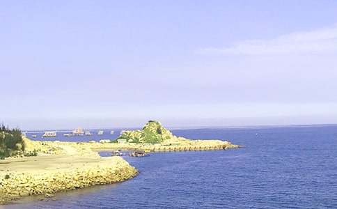 д�󺣵ľ�ɫ��������ƪ