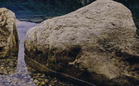 ������Խ̰�����ʯͷ5ƪ