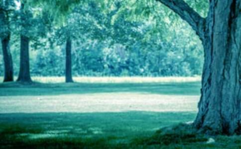 ����үү����15ƪ