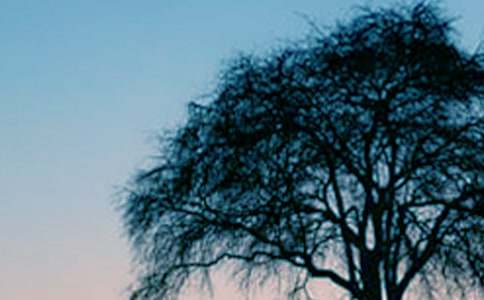 ��������˯ǰ���£���ѡ8ƪ��