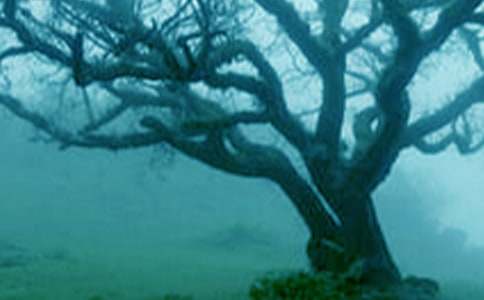 �����ְ�����