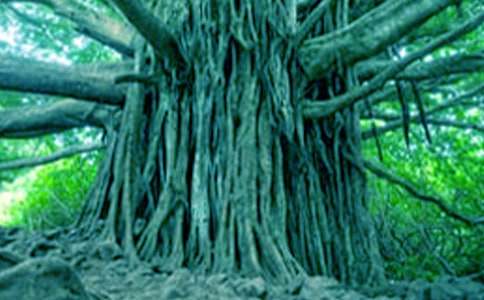 ��С�ݺʹ����������15ƪ