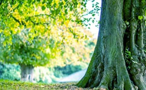 ��������ľ������ͨ��