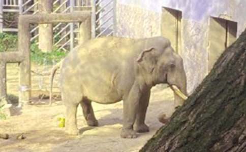 ���ܾȴ���˯ǰ����