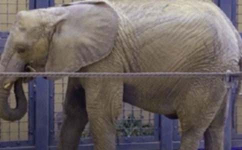 С����ͽ����Ĵ���˯ǰ����