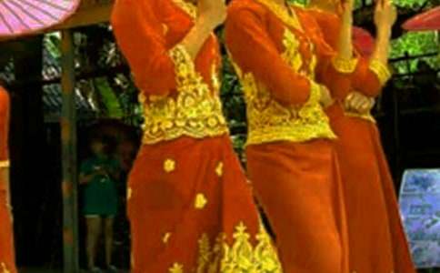 傣族孔雀舞观后感(通用5篇)